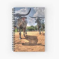 Texas Longhorns Notebook