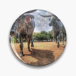 Texas Longhorns Pin