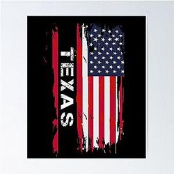 Texas USA Flag Poster