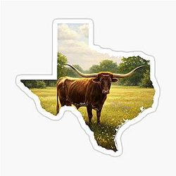 Longhorn in Texas Wildflower Field Sticker