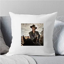 The Abandons Special Collection The Abandons Pillows Cover