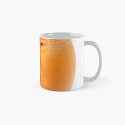 The Annoying Orange Parody Classic Mug