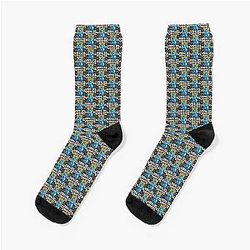 The Case Study of Vanitas Socks