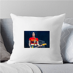 The Distillers Special Collection The Distillers Pillows Cover