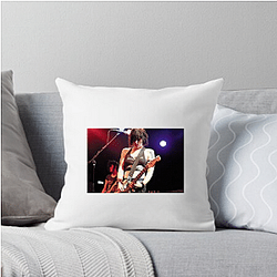 The Distillers Limited Collection The Distillers Pillows Cover