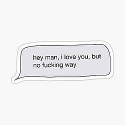 The Front Bottoms Hey Man I Love You But No Way Lyrics Sticker