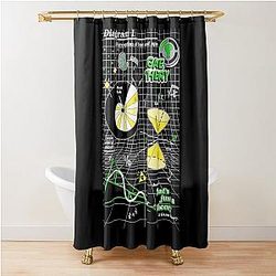 The Game Theorist's Shower Curtain