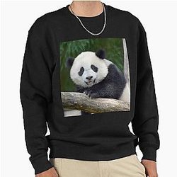 Baby Panda Xiao Qi Ji at the National Zoo Sweatshirt