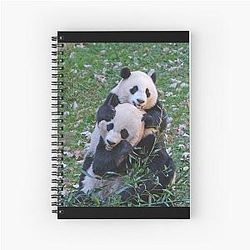 Giant Pandas Mei Xiang and Xiao Qi Ji at the National Zoo Notebook