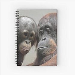Orangutans at the National Zoo Notebook
