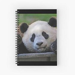 Giant Panda Xiao Qi Ji at the National Zoo Notebook