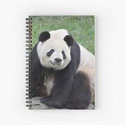 Giant Panda Tian Tian at National Zoo Spiral Notebook