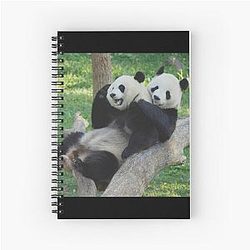 Giant Pandas Tian Tian and Mei Xiang at the National Zoo Notebook