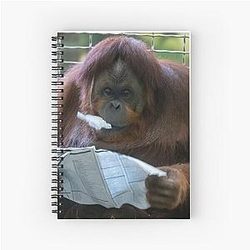 Orangutan at the National Zoo Notebook