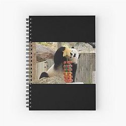Bei Bei at the National Zoo Notebook