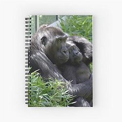 Gorillas Kibibi and Moke at the National Zoo Notebook