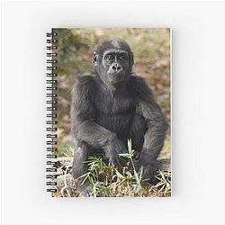 Moke the Gorilla at National Zoo Notebook