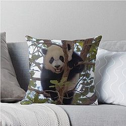 Baby Panda Xiao Qi Ji at the National Zoo Throw Pillow