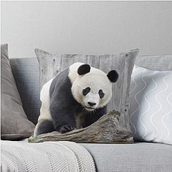 Bei Bei at National Zoo Throw Pillow