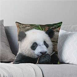 Giant Panda Xiao Qi Ji at the National Zoo Throw Pillow