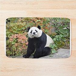 Bei Bei at National Zoo Bath Mat