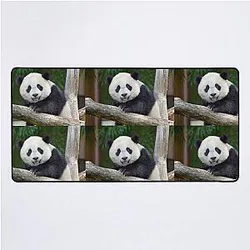 Baby Panda at the National Zoo