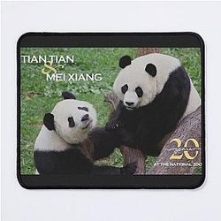 Giant Pandas Tian Tian and Mei Xiang at the National Zoo 20th Anniversary Mouse Pad