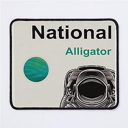The National - Alligator