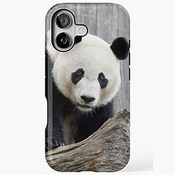 Bei Bei at the National Zoo iPhone Case