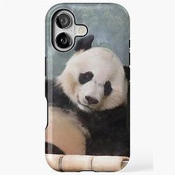 Giant Panda Bei Bei at the National Zoo iPhone Case