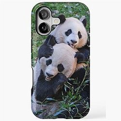 Giant Pandas Mei Xiang and Xiao Qi Ji at the National Zoo Tough Case