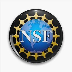 Seal of the National Science Foundation Pin