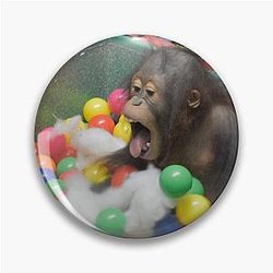 Orangutan at the National Zoo Pin