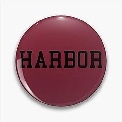 The O.C. School Pin