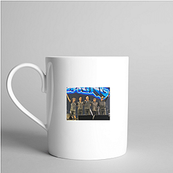 The Offspring Merchandise The Offspring Mugs