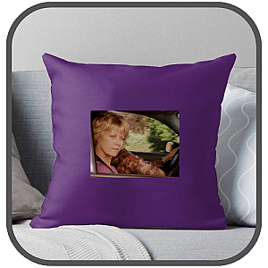 The Perfect Neighbor Pillows Cover