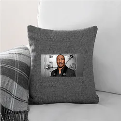 The Pickup Signature The Pickup Pillows Cover