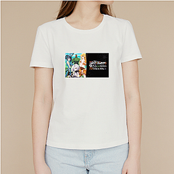 The Shy Hero And The Assassin Princesses Merch The Shy Hero And The Assassin Princesses T-Shirts