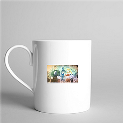 The Shy Hero And The Assassin Princesses Merch For Fans The Shy Hero And The Assassin Princesses Mugs