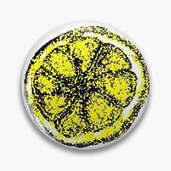 The Stone Roses - I Am Free