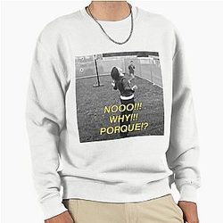 No WHY the Strokes In Transit Pullover Sweatshirt