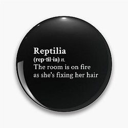 Reptilia by The Strokes
