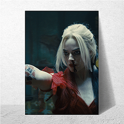 The Suicide Squad stars Idris Elba as the mercenary Robert DuBois Bloodsport The Suicide Squad Posters