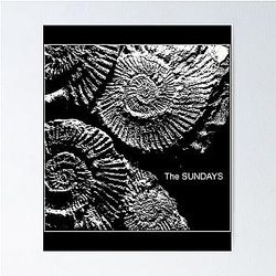 The Sundays Vintage Poster