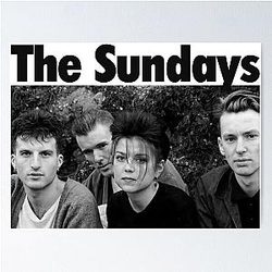 THE SUNDAY POSTER