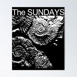 The Sundays Dream Pop Band Poster