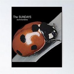 The Sunday Summer
