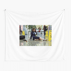 The Terminal was directed by Steven Spielberg The Terminal Tapestries