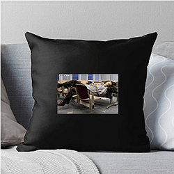 The Terminal is known for its heartwarming story The Terminal Pillows Cover