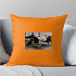 The Terminal is known for its heartwarming story The Terminal Pillows Cover